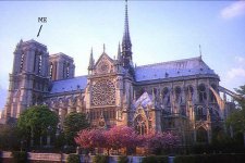 notredameroof.jpg
