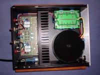 ESP P3A.JPG