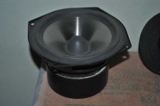DSC_0118.JPG