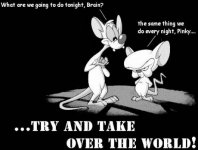Pinky & The Brain.jpg