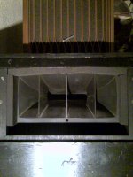 horn foam-1.jpg