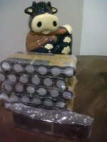 IMG00166-20110128-2208.jpg