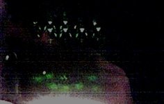 solux6.jpg