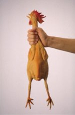 rubberchick.jpg