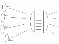 solux7.gif