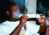 spliff.jpg