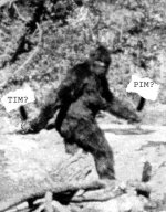 sas.jpg