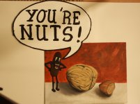 you_are_nuts_982525.jpg
