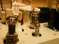 Simple SE 6146 closeup.jpg