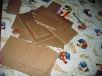cardboard cutouts.jpg