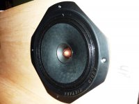 side view R.jpg