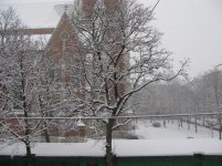 winter.jpg