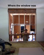 window-1.jpg