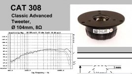 cat308.JPG