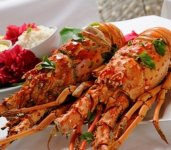 Brazilian Lobster.jpg