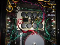 ps100.jpg