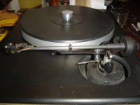 DSC02535.JPG