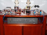 DSC09535.JPG