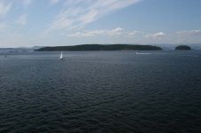 sailboats.jpg