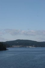 sidney-in-site.jpg