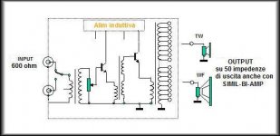 AMPLI-vero2.jpg