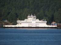 IMG_9428.jpg