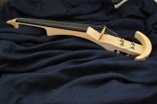 eviolin1.jpg