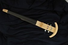 eviolin2.jpg