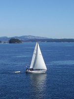 sailboat.jpg