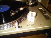 IMG00936-20101205-1721.jpg