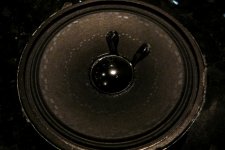 test.jpg