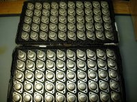 DSCN3452a.jpg