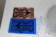 DSC_2477.JPG