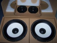 AMP_Speakers 006.JPG