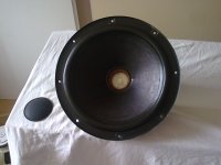 AD12100 W8 dustcap removed.jpg