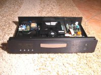 Primare D20 1.JPG