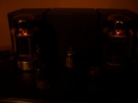 glowing tubes. 002.jpg