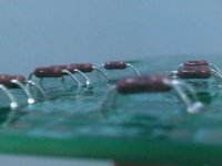 IMG00907-20100825-2027.jpg