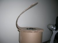 DSCN0406.JPG