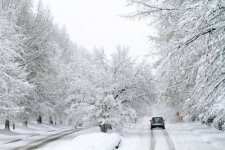 NC snow.jpg