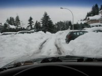 Wellington Dr.JPG