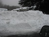 driveway.JPG