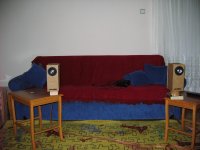 cardboard_in_livingroom.jpg
