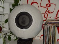 DSC05968.jpg