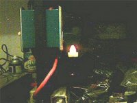 GE neon nite lite wb med.jpg
