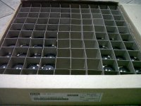 IMG00074-20101228-0502.jpg