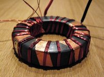 Ribon Toroidal.jpg