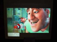 nemo2.jpg