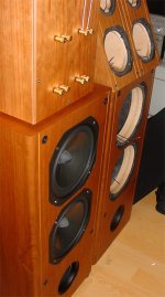poly-case4.jpg