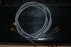 canare 4s11 cables.jpg